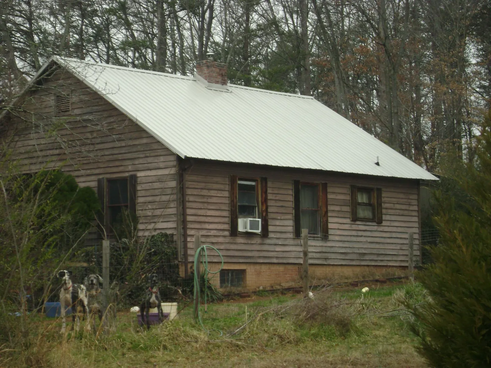 White metal roof on an old wood sided farmhouse, from a Asphalt Shingle Roof Repair job in Chestnut Ridge